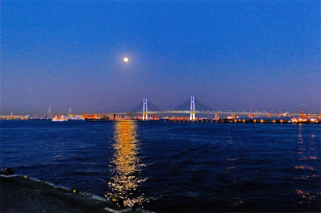 横浜ベイブリッジ「ベイブリッジと月光」